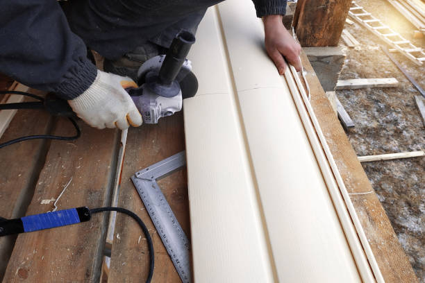 Best Siding Painting and Refinishing  in Lanse, MI