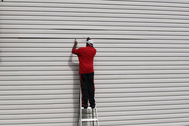Best Brick Veneer Siding  in Lanse, MI